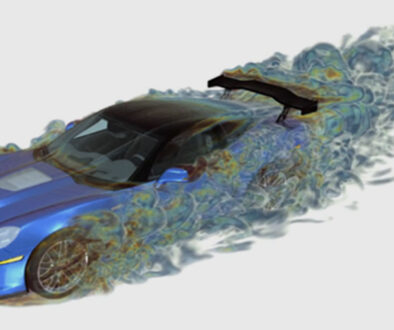 SoleShareholder_grau